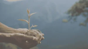 Svenskt klimats inverkan på ADHD