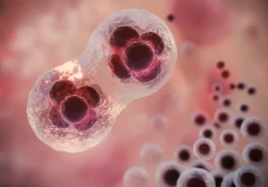 Östrogen hos flickor med ADHD