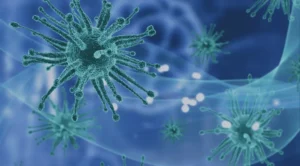 Rädsla för bakterier