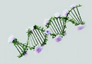 Den genetiska nyckeln till bipolär sjukdom