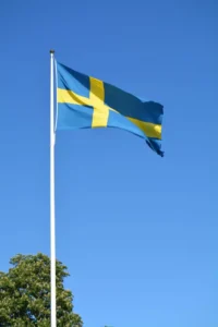 Diagnostisering av ADHD i Sverige