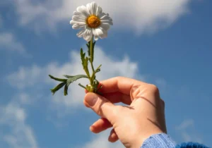 Psykisk hälsa och livskvalitet