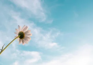 Hopp, kamp och missbruk